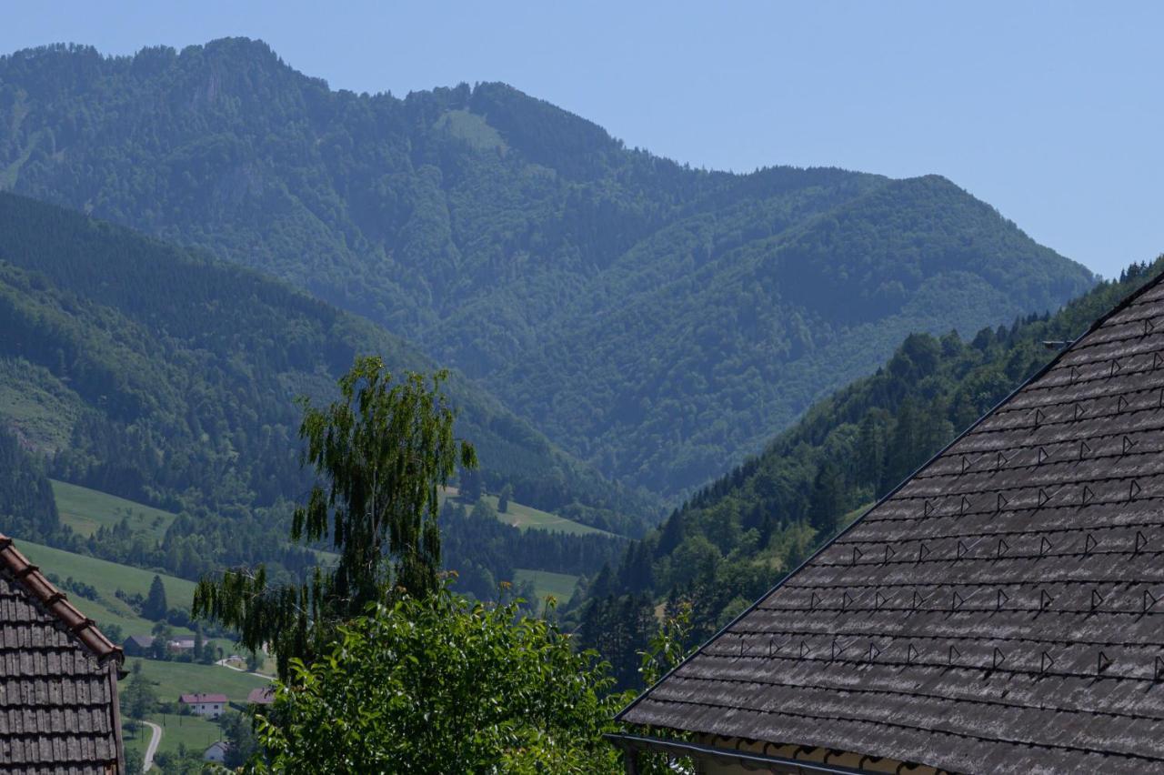 Landgasthof Kirchenwirt Grossraming Kültér fotó